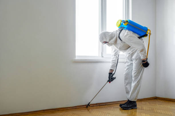 Best Pest Removal Services  in Bacliff, TX
