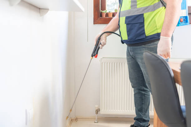 Best Affordable Exterminators  in Bacliff, TX