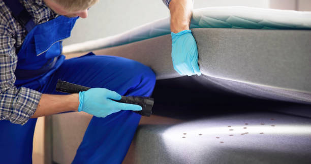 Best Pest Inspection Near Me  in Bacliff, TX